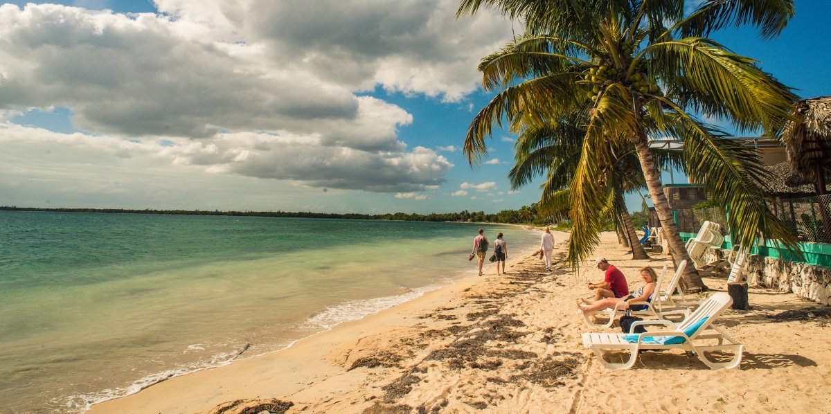 People lounging on the beach in the sunshine under a palm tree in Cuba