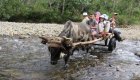 Transportation through a river in Eastern Cuba