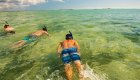 Two people in crystal clear water swimming out with their snorkels on looking into the water